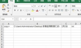 网红大瓜文件docx
